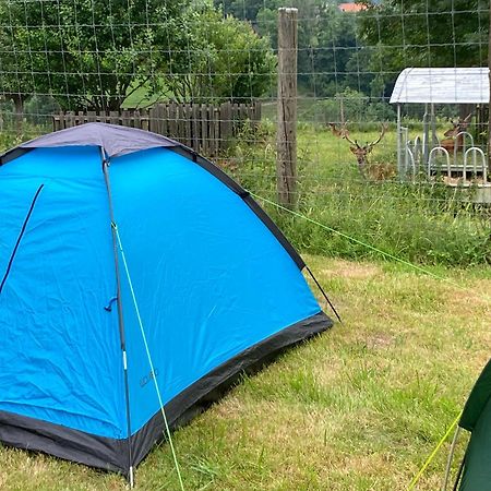 Camping F Selbstversorger Gut Jaegerhof Adults Only Semriach Ngoại thất bức ảnh